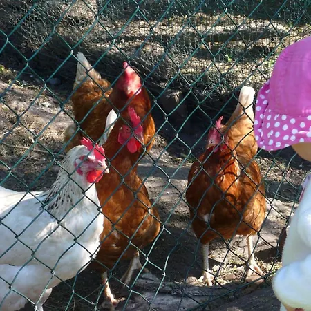 Ferienhof-wohler-wohnung-4 *